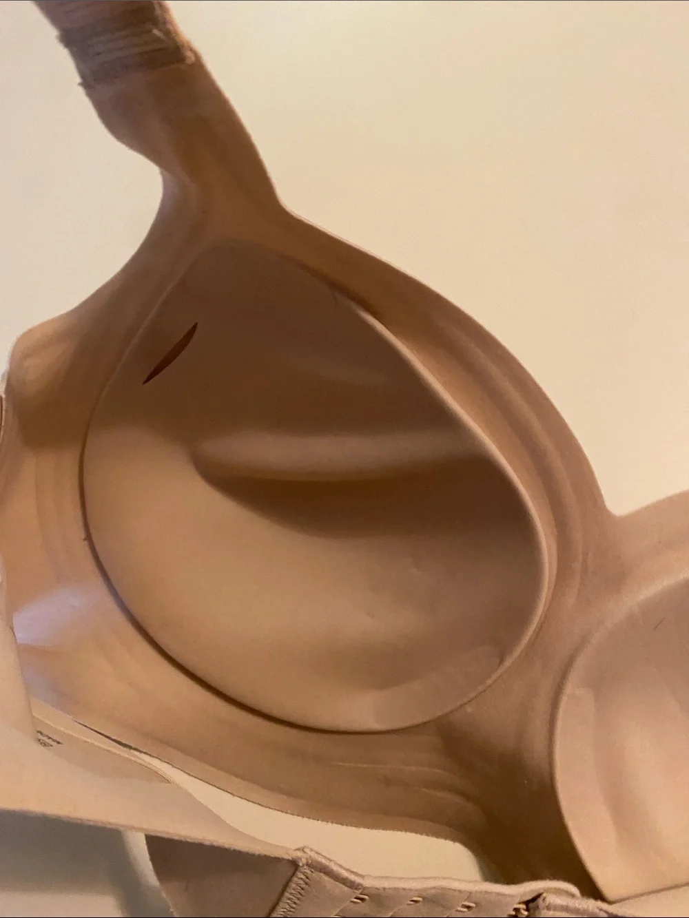 Seamless Nude T-Shirt Bra - Wireless Support Large Padded